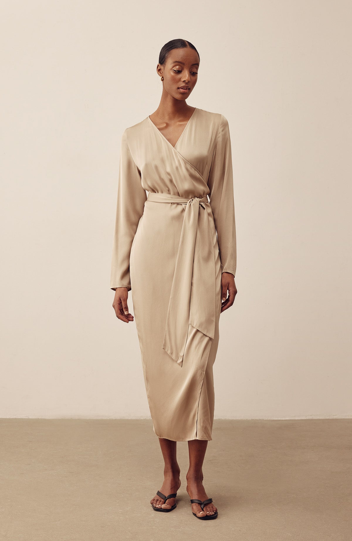 Vega Wrap Silk Dress